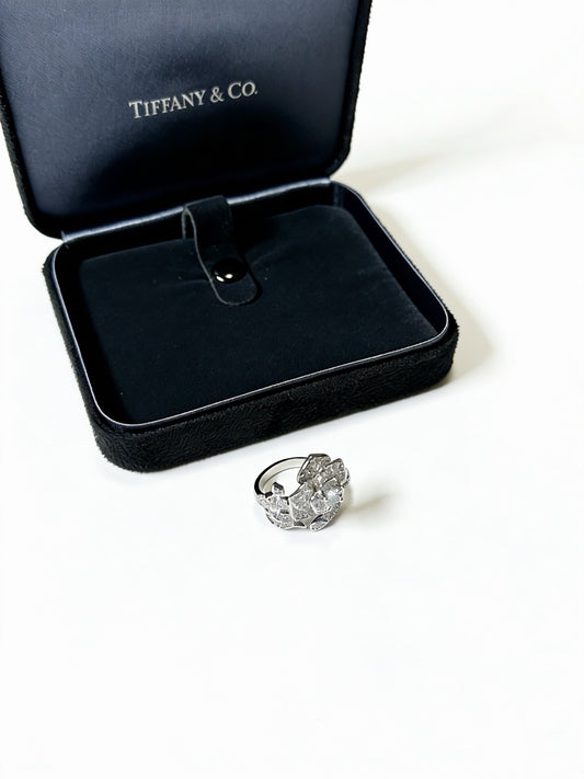 Tiffany & Co. Ring