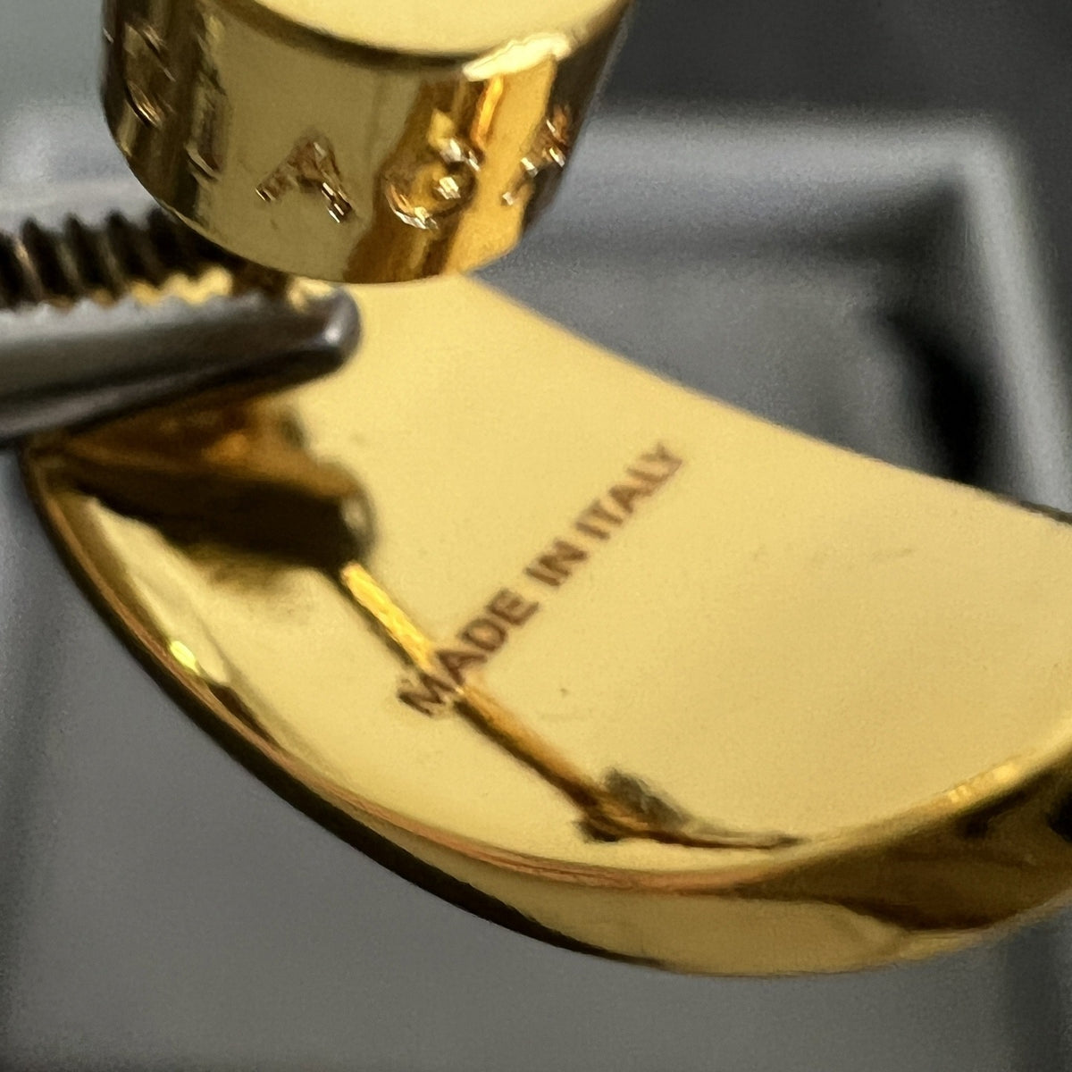 Balenciaga Earrings