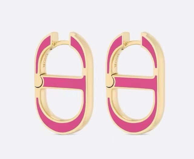 Dior Logo Earrings
