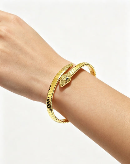 Cartier Bracelet