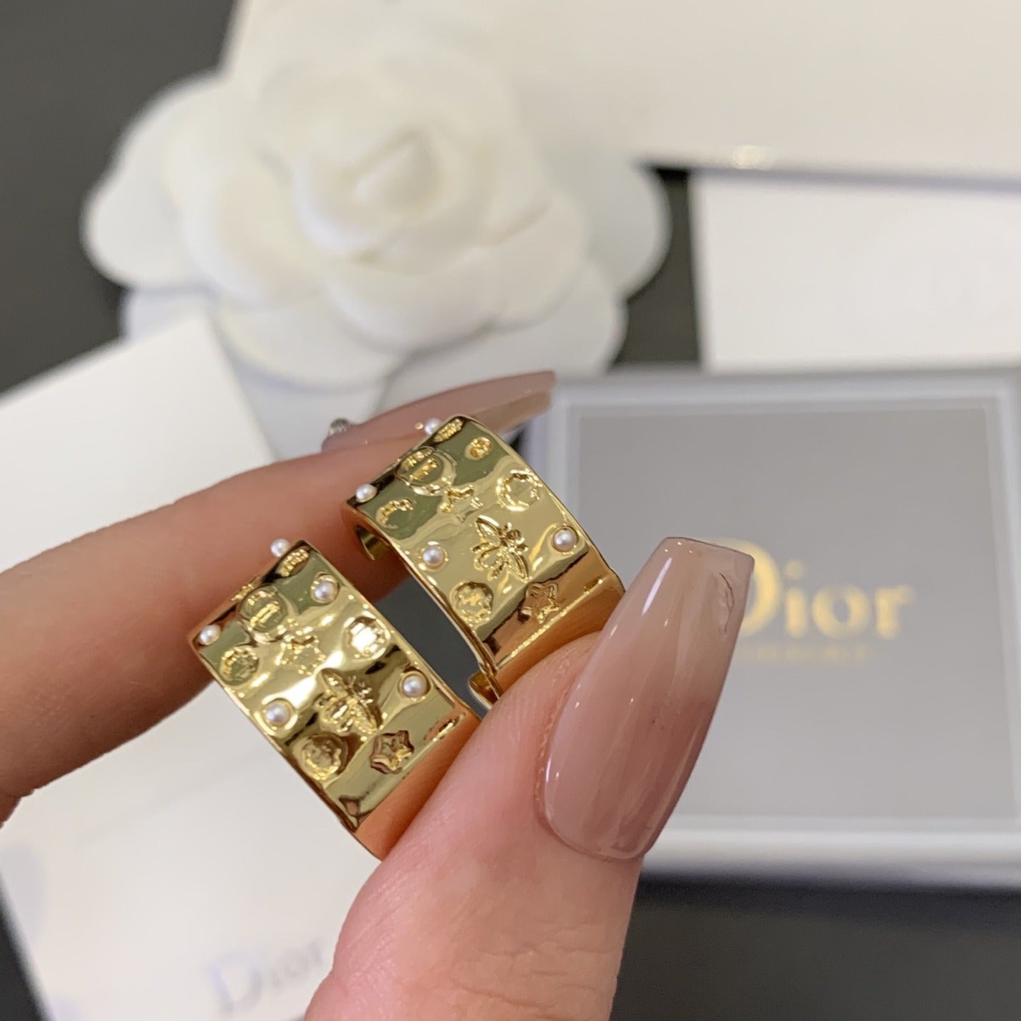 Dior Round Earrings
