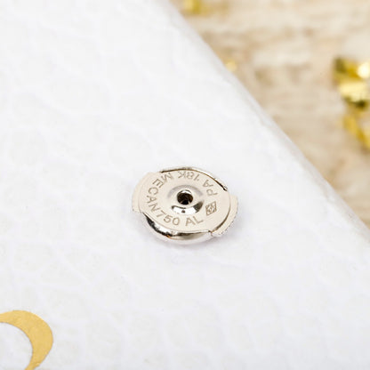 Dior Crystal Earrings